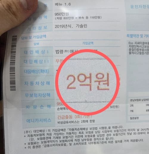 교습용 차량 자동차보험 가입 내역
